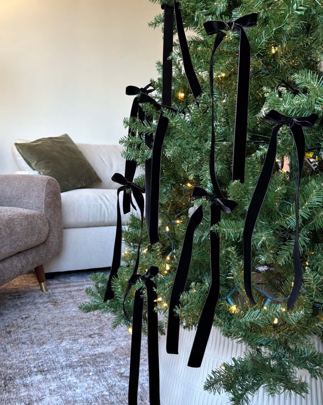 Velvet Clip-On Bows — Black
